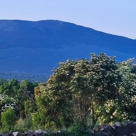 El Nido De